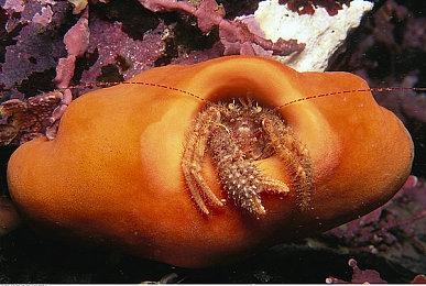 《最终幻想7：重生》TGS展台超长实机演示草原地区